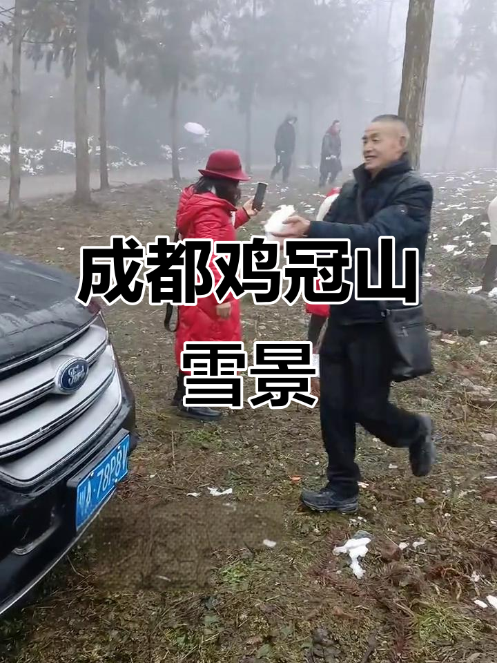 崇州鸡冠山雪景，美不胜收！