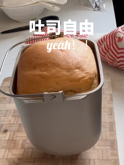 松下PM1010面包机保姆级教程!零失误!