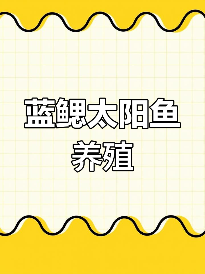 蓝鳃太阳鱼养殖价值分析