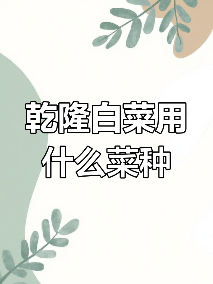 乾隆白菜的种子品种揭秘