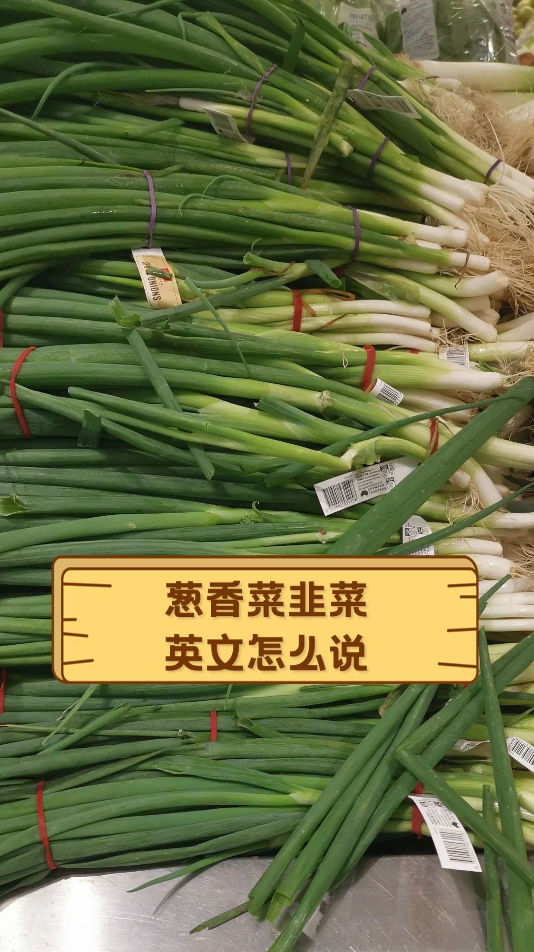 葱香菜韭菜英文怎么说