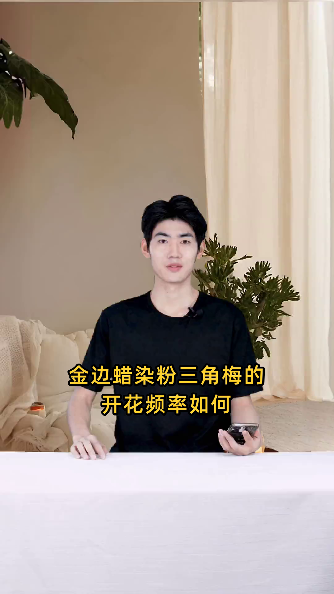 金边蜡染粉三角梅是否勤花?其开花频率如何?