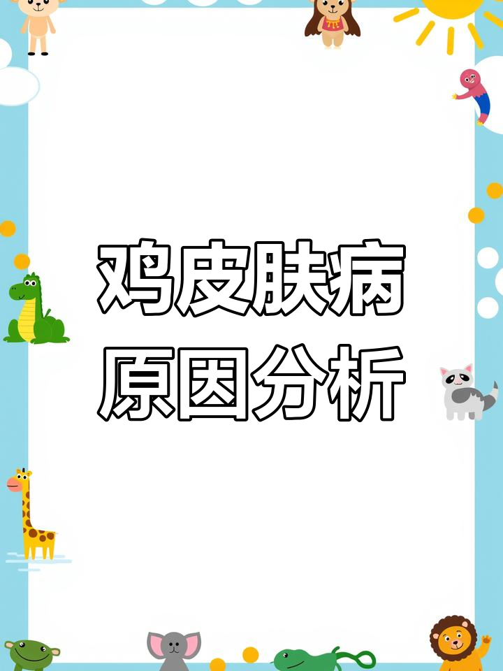 鸡皮肤问题解析:螨虫与毛囊炎