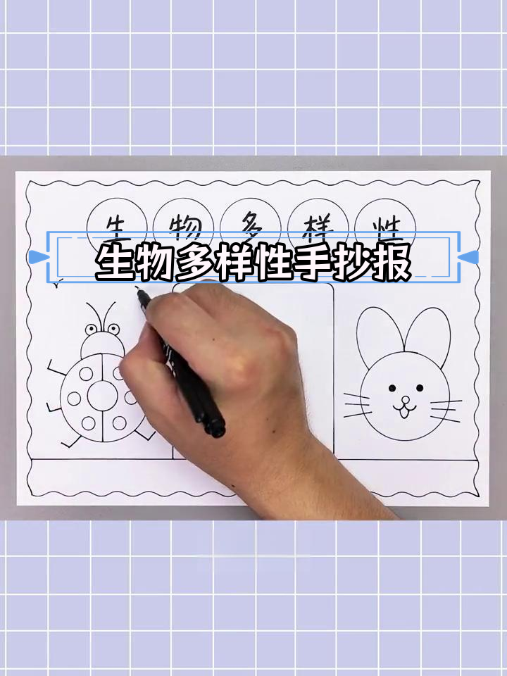 简单又漂亮的生物多样性手抄报