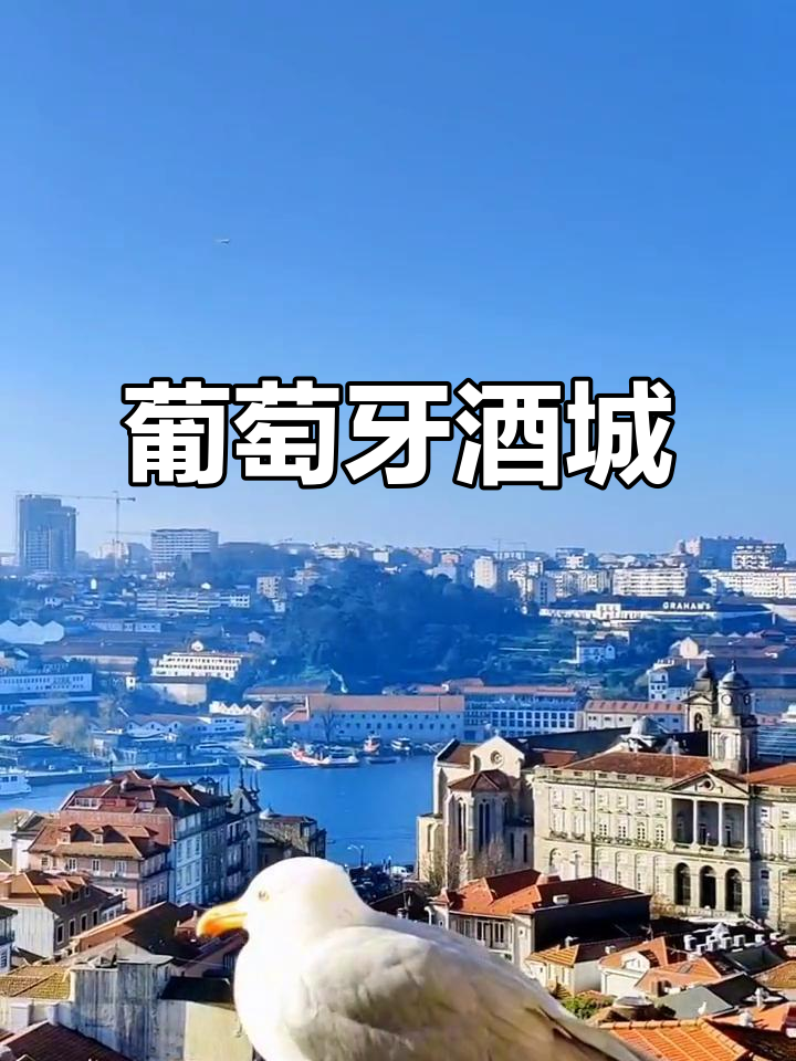 波尔图,葡萄牙的葡萄酒之都与历史遗产