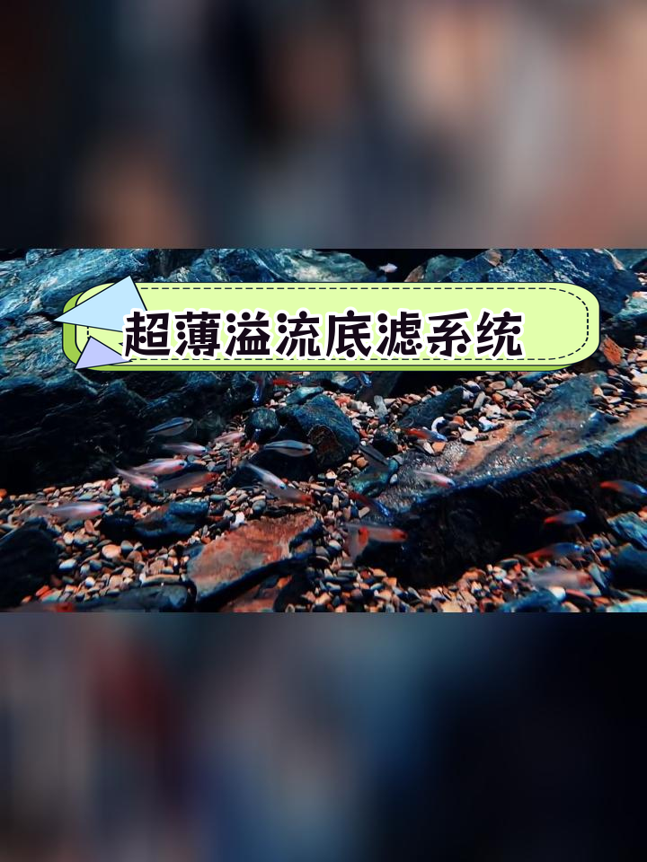 鱼缸造景新思路,溪流风格更自然