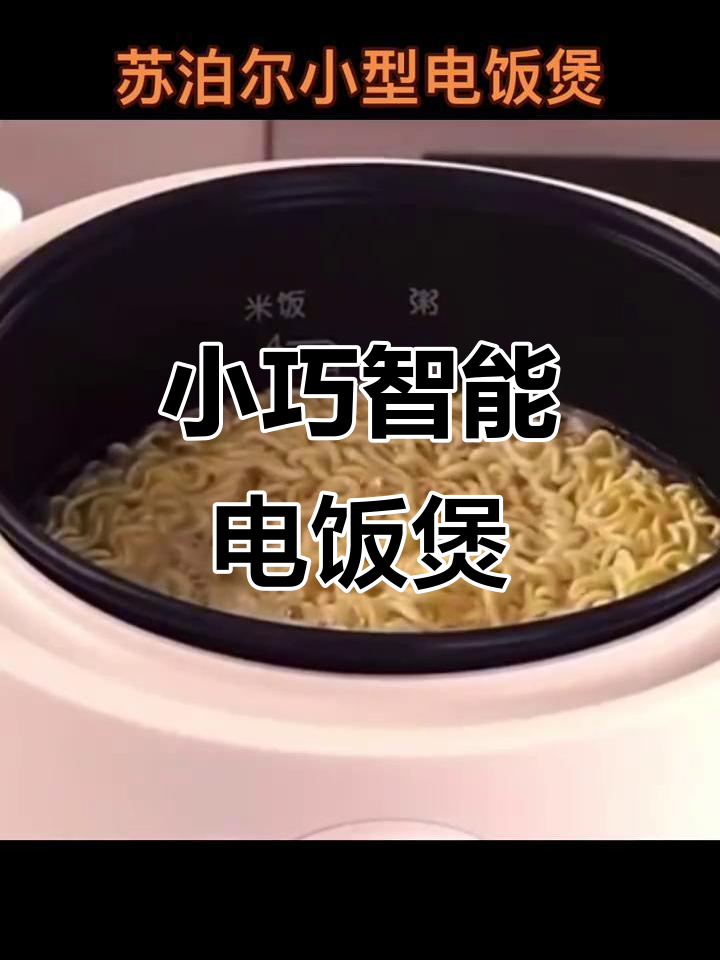 迷你电饭煲,煮饭蒸菜一键操作,内胆易清洗,适合小家庭