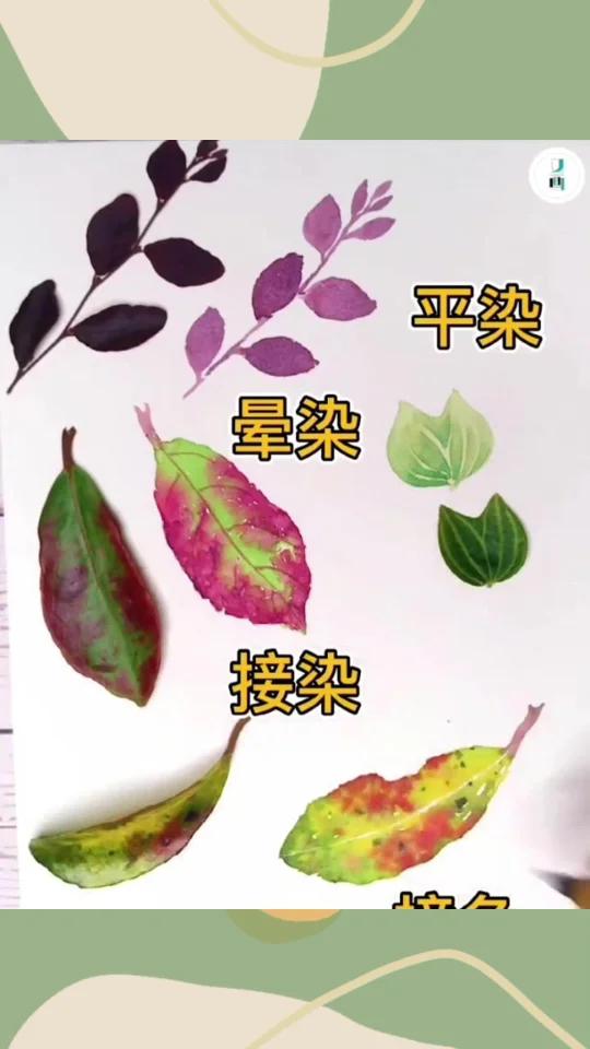 1分钟教会你水彩四种技法~叶子的多种画法