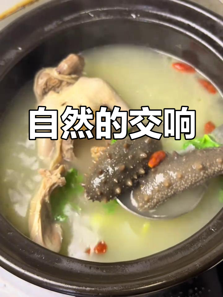 海洋与陆地交织,自然之美令人陶醉