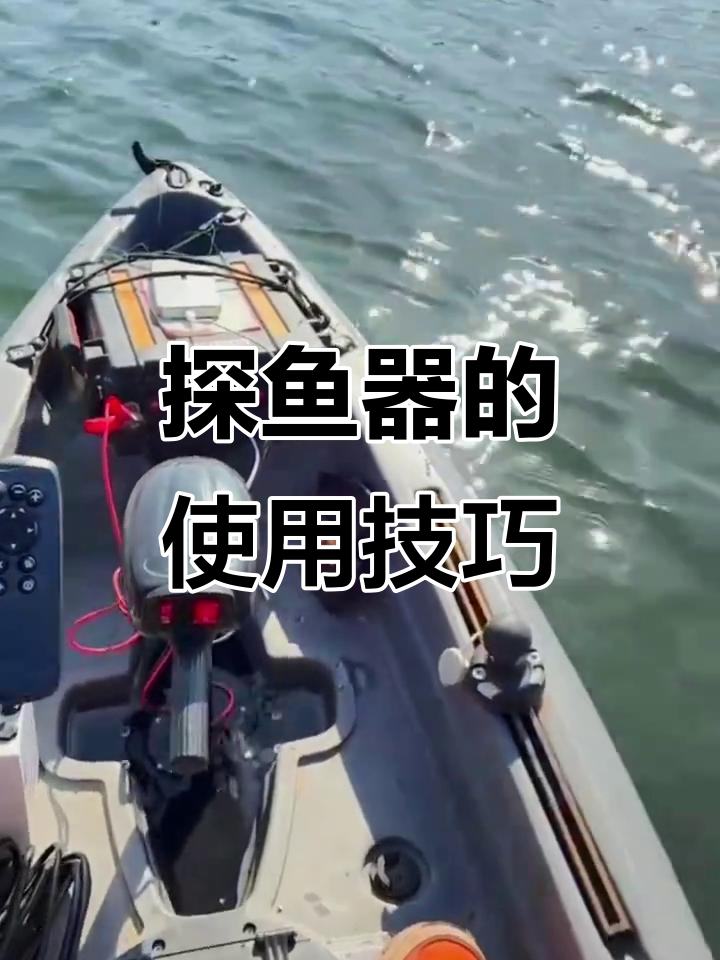 如何判断鱼游动的方向?探秘声纳探测器的工作原理