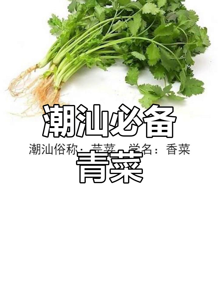 潮汕常见蔬菜大揭秘