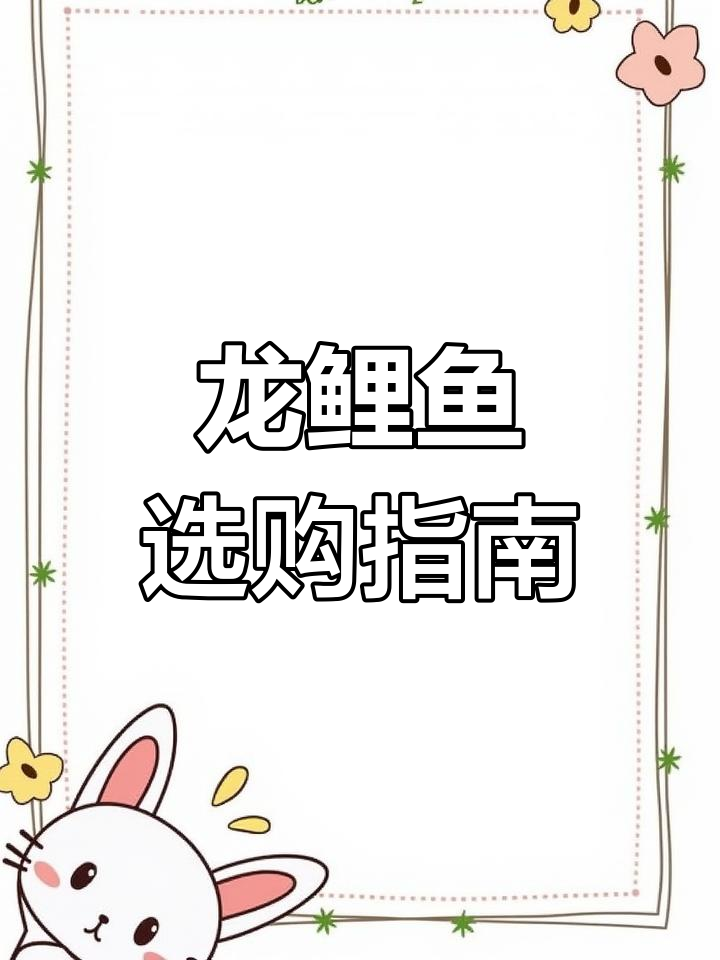 不同产地的龙鲤鱼价格与品质大揭秘,如何挑选最合适的海鲜