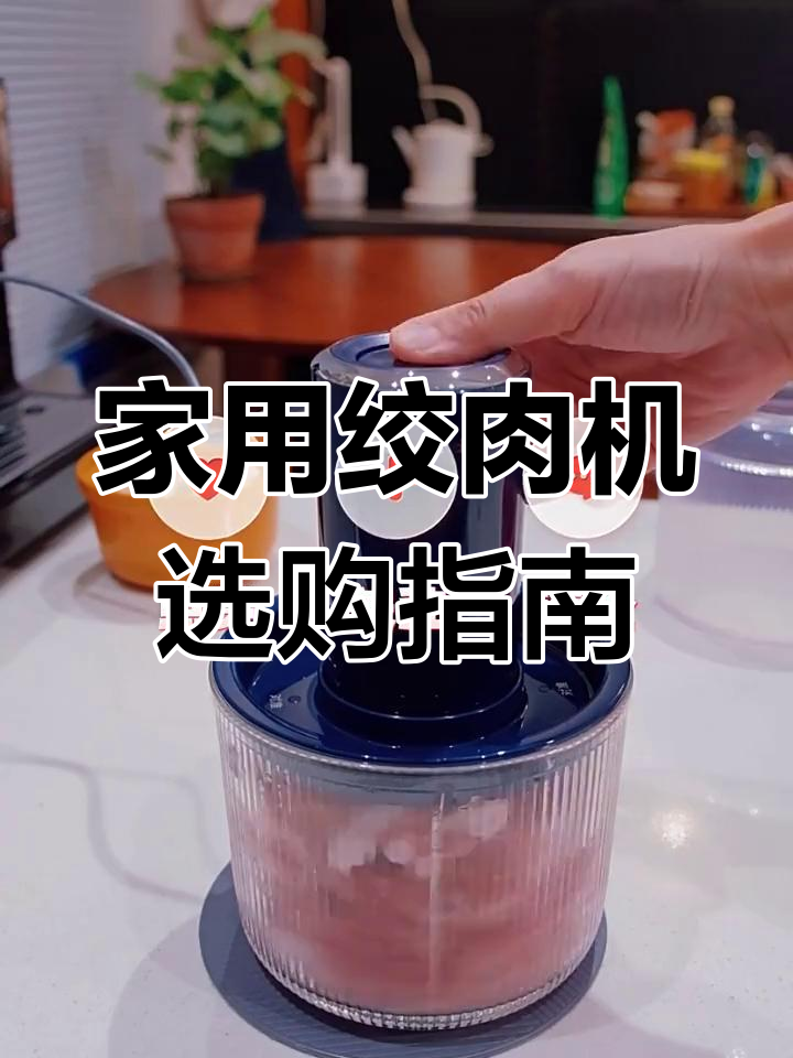 如何选择适合家用的绞肉机?四大要点解析