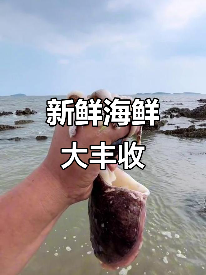 赶海抓海鲜,意外发现大墨鱼和螃蟹大战!
