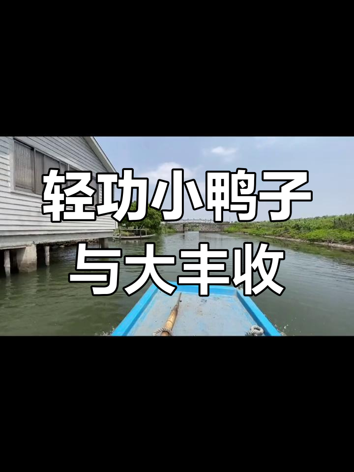 阳澄湖捕鱼偶遇飞鸭,收获奇特的激浪鱼
