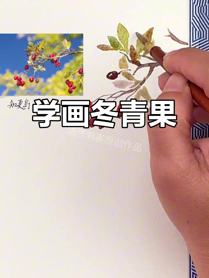 冬青果的冬季色彩,水彩画教程