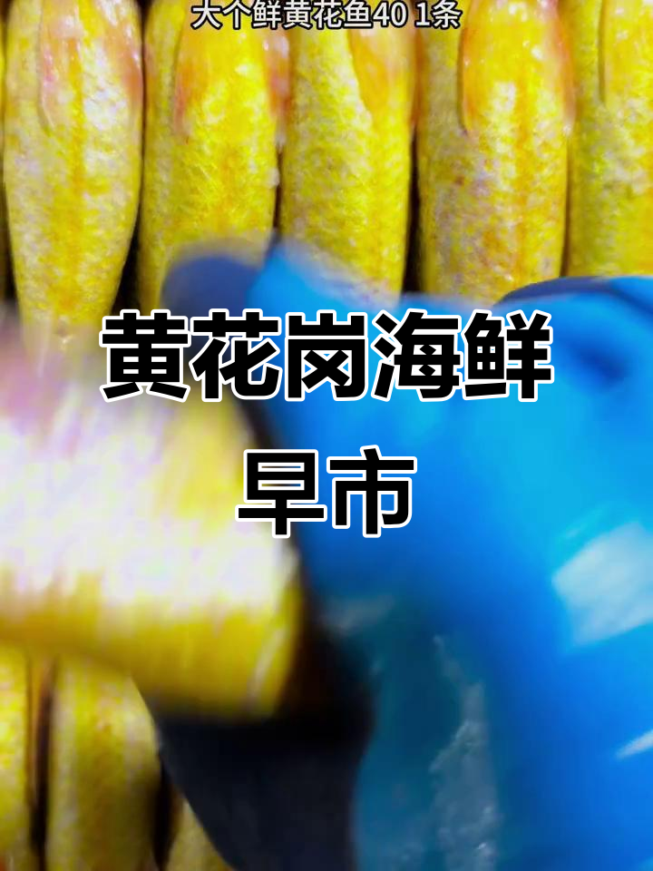 12月7日黄骅港直达石家庄,海鲜市场海虾鱼全都有