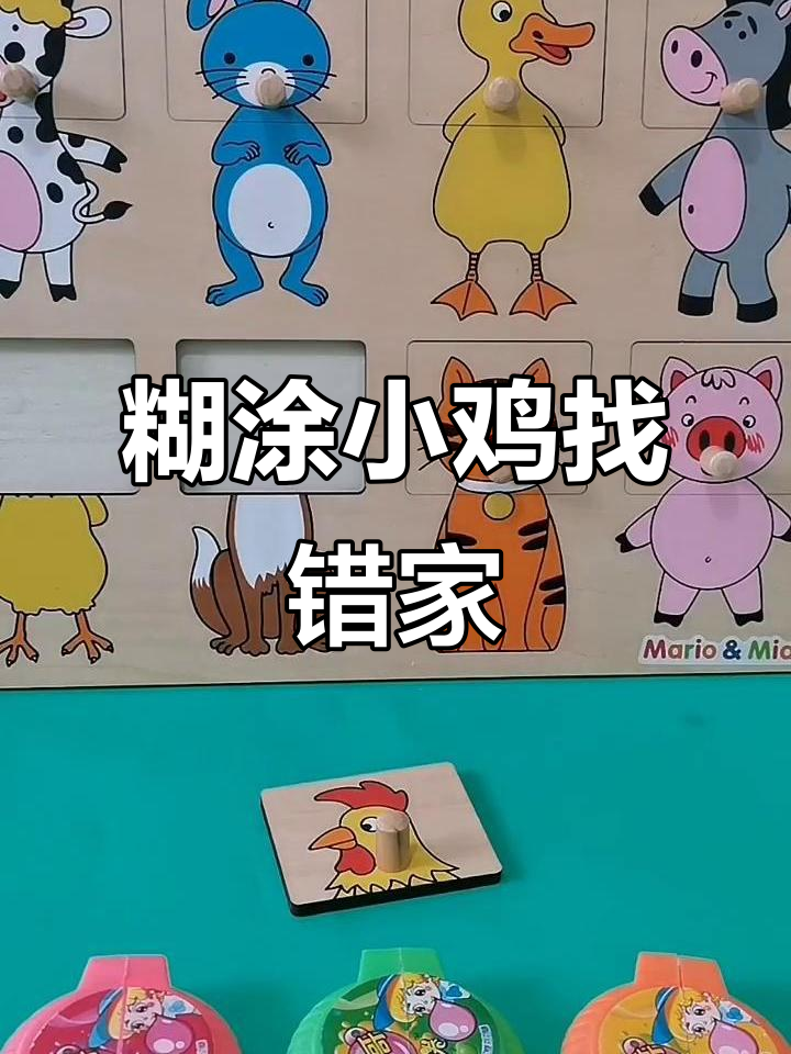 小鸡误闯小鸭家,雨天急寻回家路