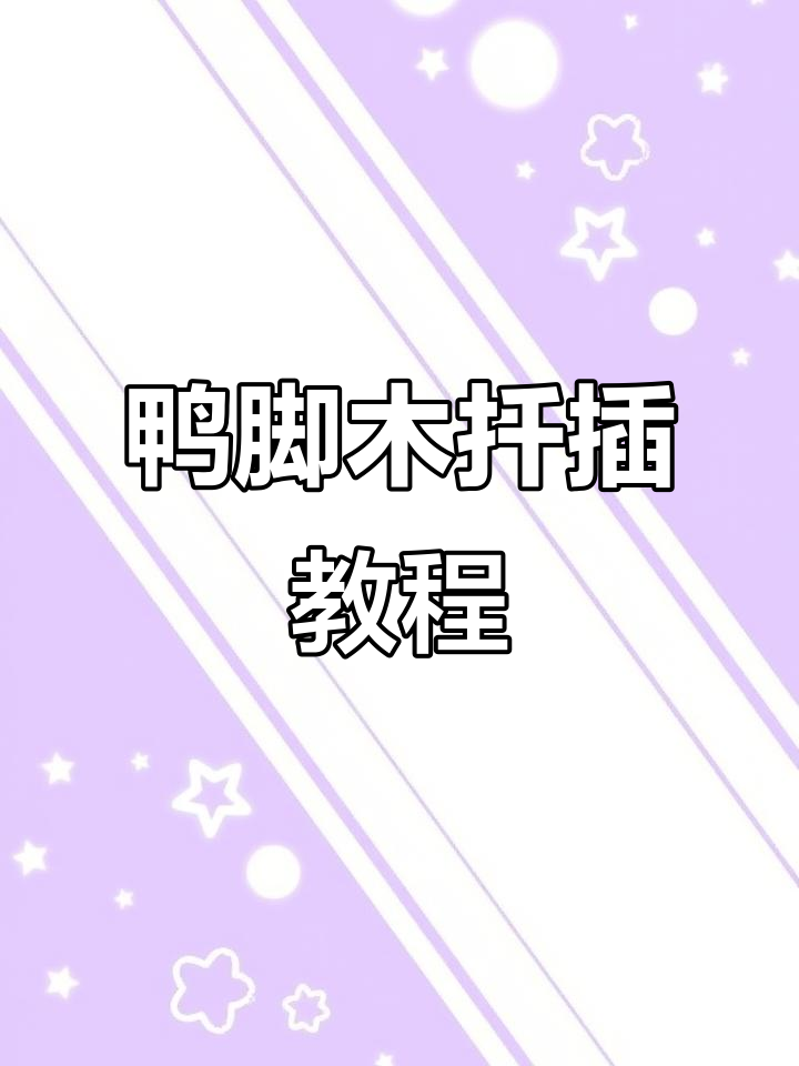 鸭脚木扦插技巧,轻松学会生根方法