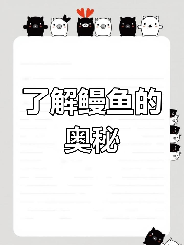 鳗鱼:从蛇形黄鳝到珍稀美味,揭秘养殖与价格背后的秘密