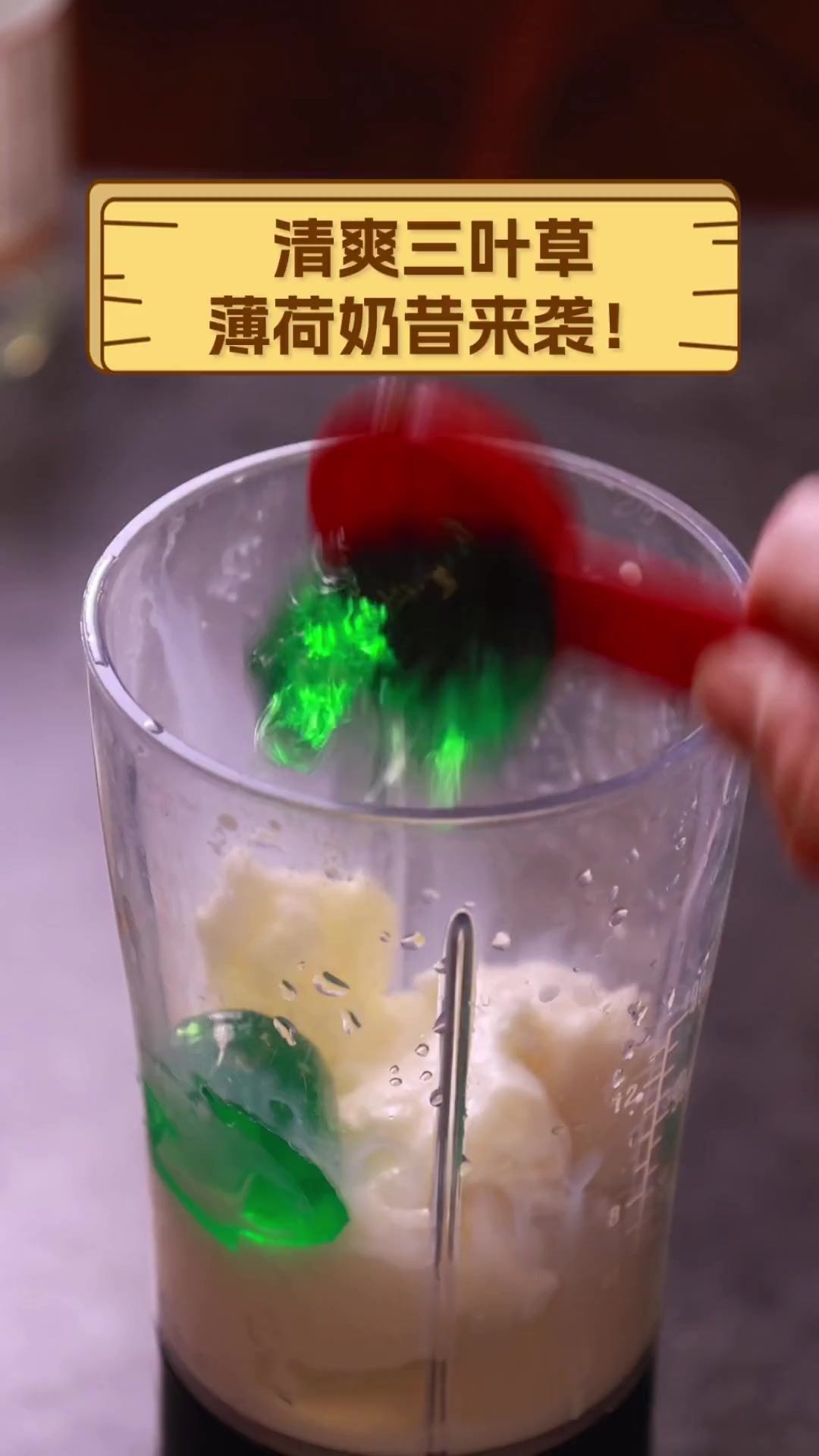 清爽三叶草,薄荷奶昔来袭!