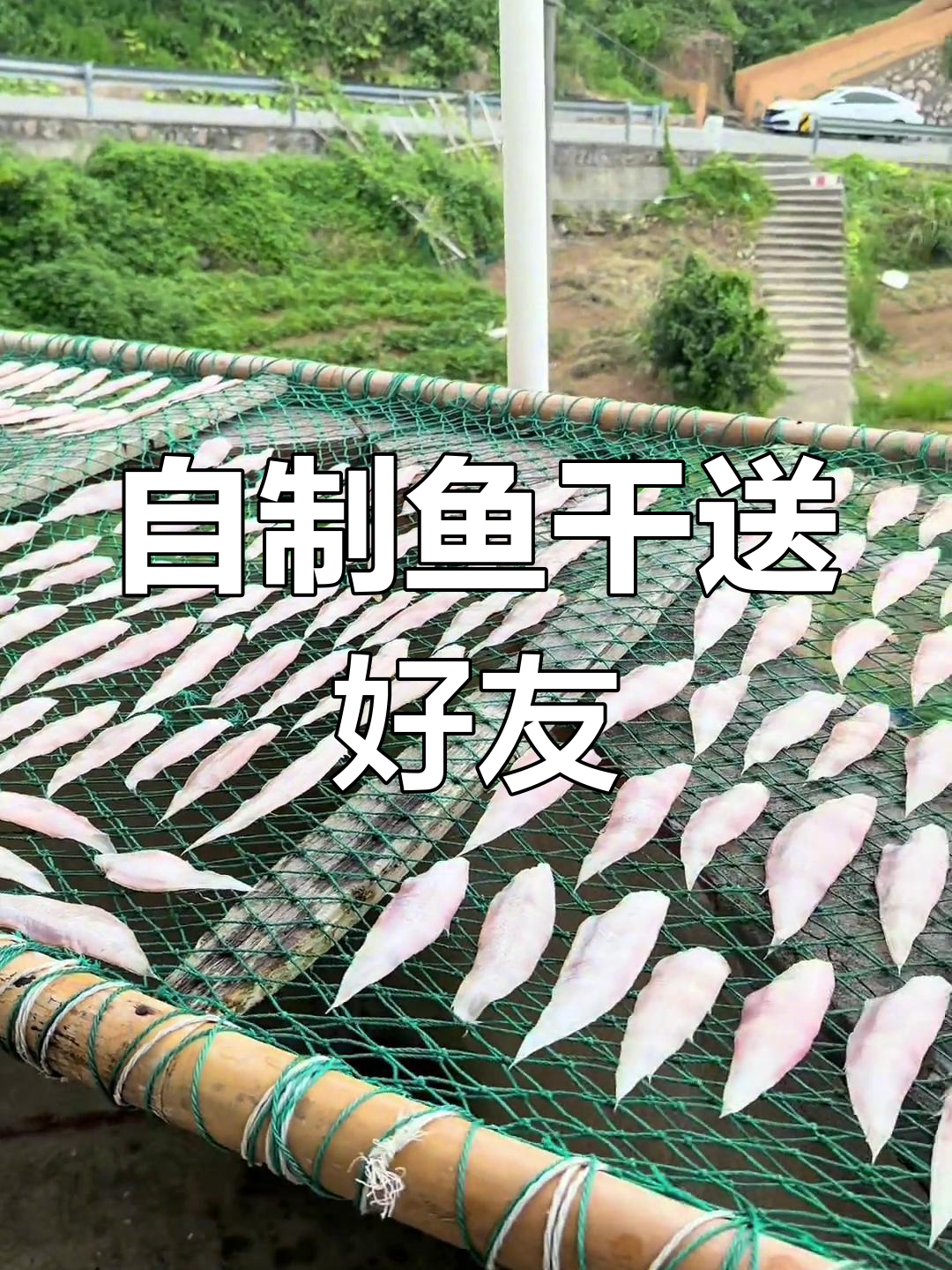 晒鱼干送朋友,家常做法超简单