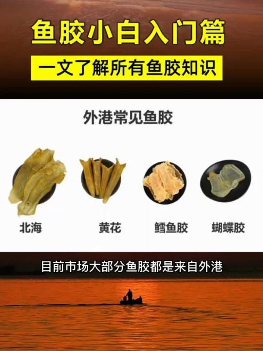 2分钟了解鱼胶所有知识