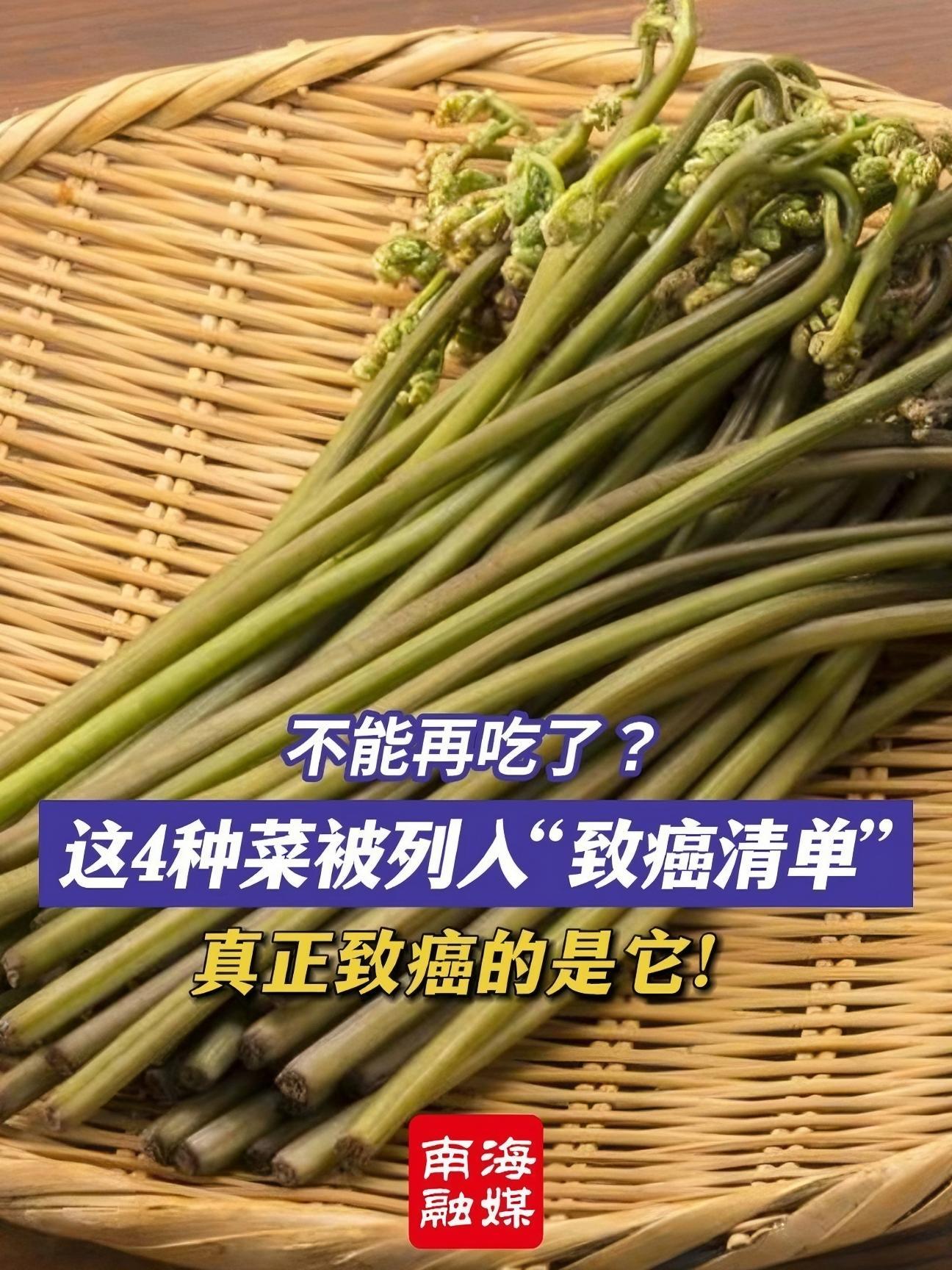 这4种菜被列入“致癌清单” 真正致癌的是它!生活常识 各种蔬菜的功效和作用 科普一下 野菜