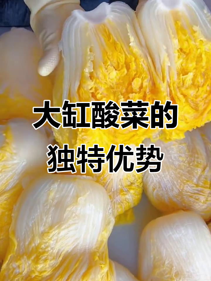 东北大缸酸菜,整颗发货无杂质,比切丝的更地道