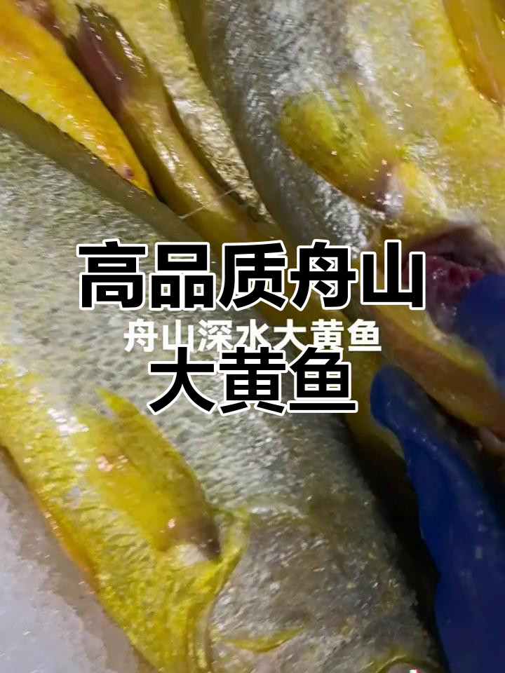 舟山深水大黄鱼,鲜嫩美味性价比高
