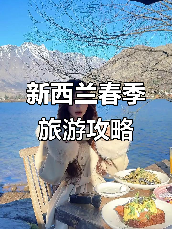 新西兰夏季春节之旅,带你与海豚、小企鹅共舞