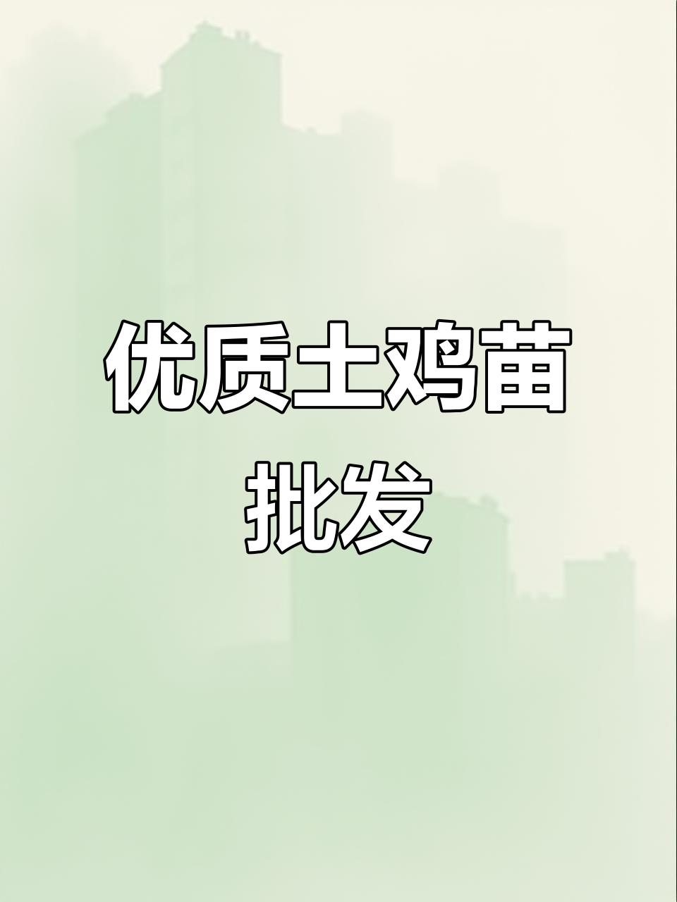土鸡苗批发与农村创业机会