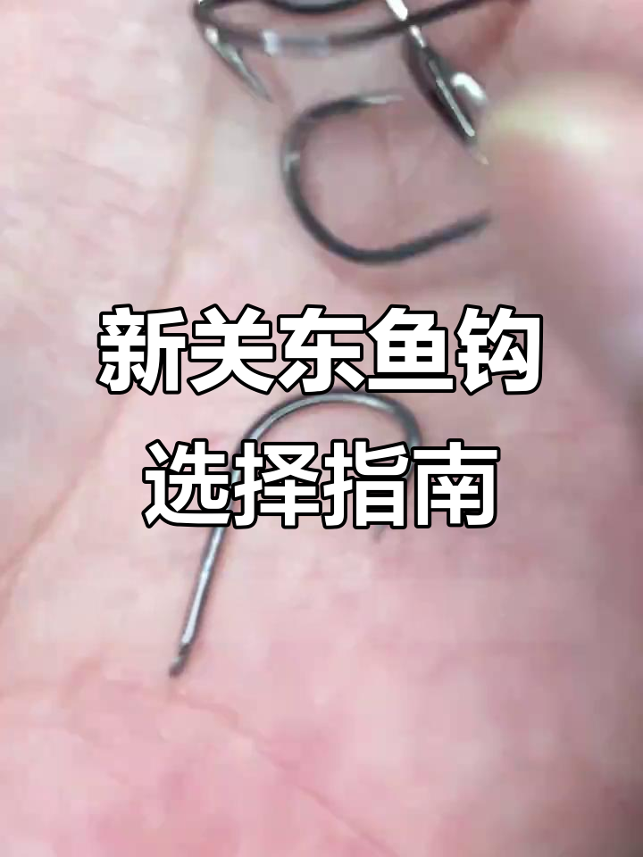 新关东鱼钩选对号,大小搭配钓重翻倍