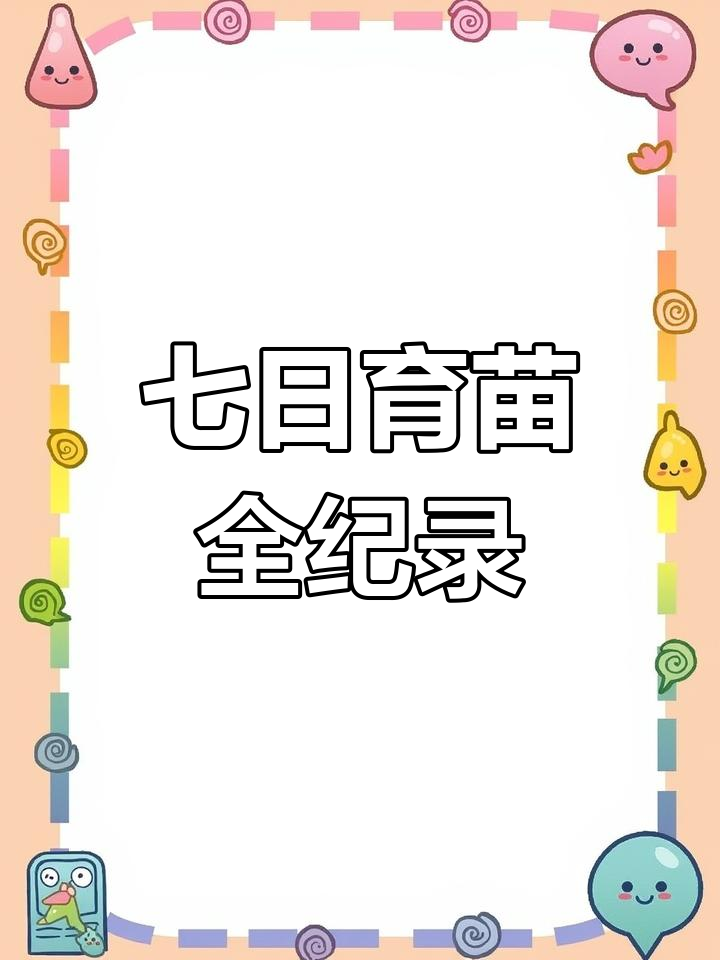 从播种到收获,七天见证蔬菜成长全过程