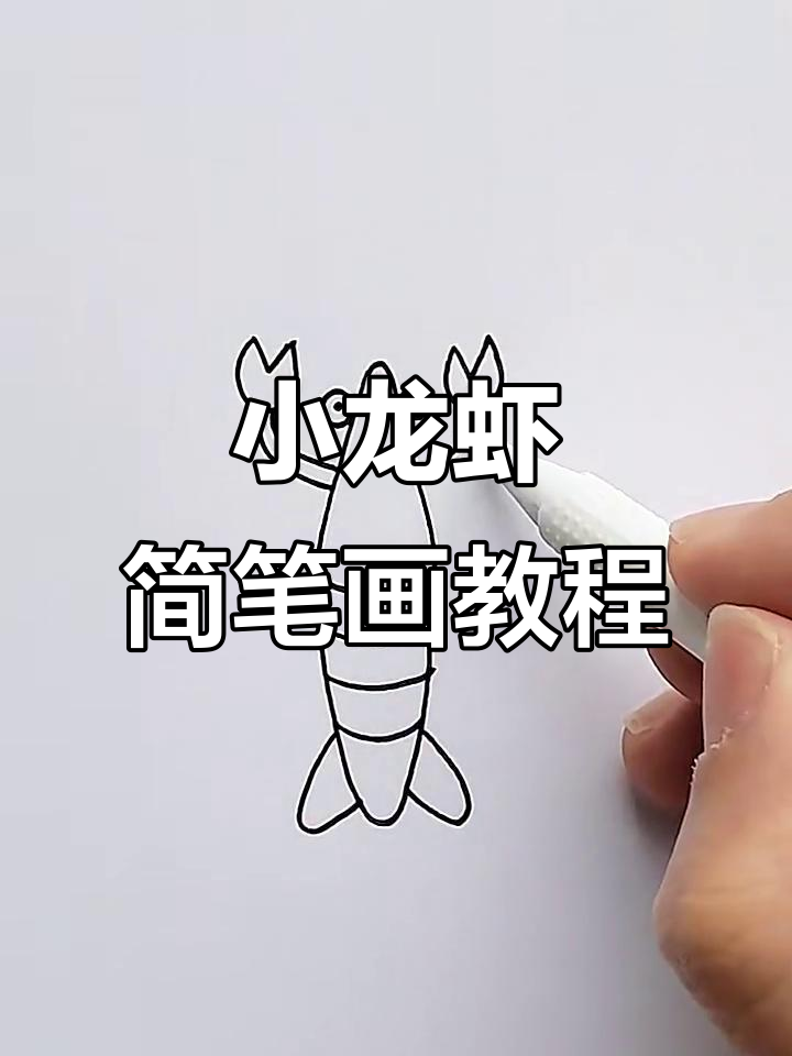简单步骤教你画小龙虾，轻松上手！