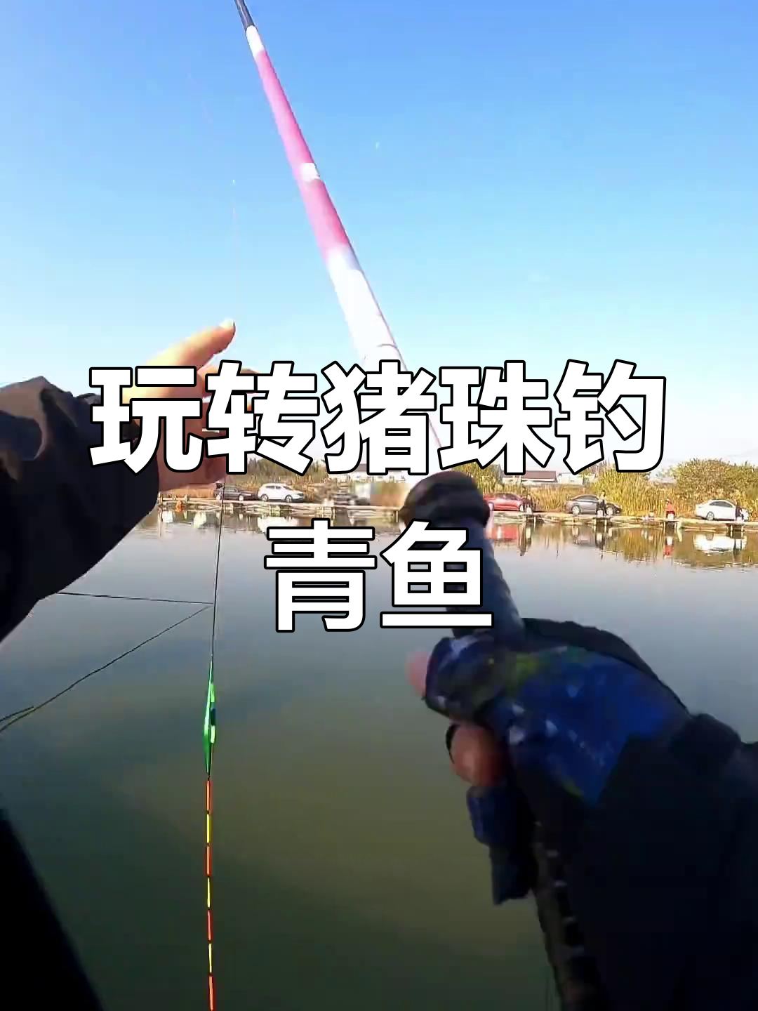 珠珠钓青鱼技巧大揭秘:如何选择盛水珠和颜色味型