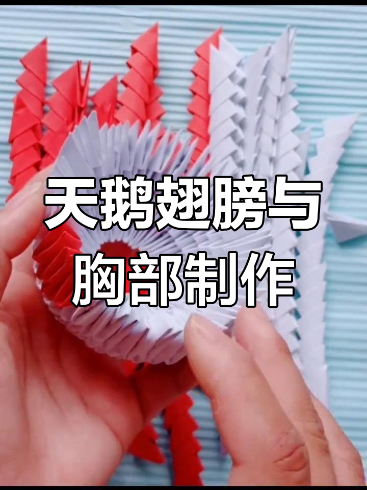 三角插天鹅翅膀与胸部的完美打造