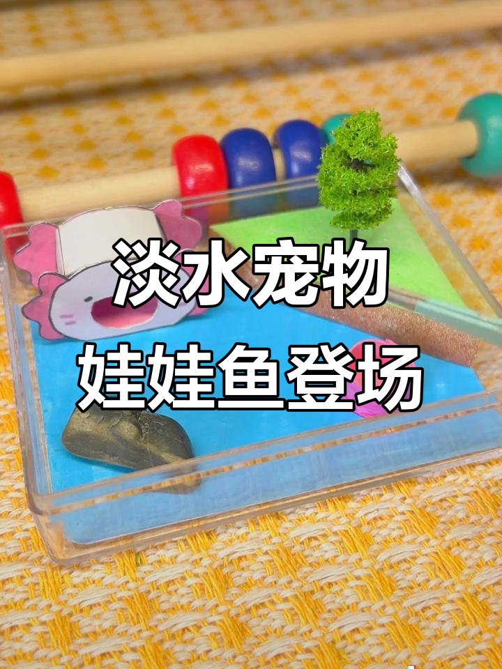 今天宠物是一只娃娃鱼,看看它的蓝色小窝和绿色陆地环境
