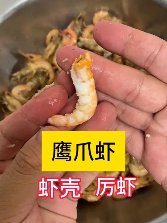 9月份吃鹰爪虾的好时候,有带籽的啊!这个虾容易氧化黑头,掉头,都不是毛病。吃着很香,野生的