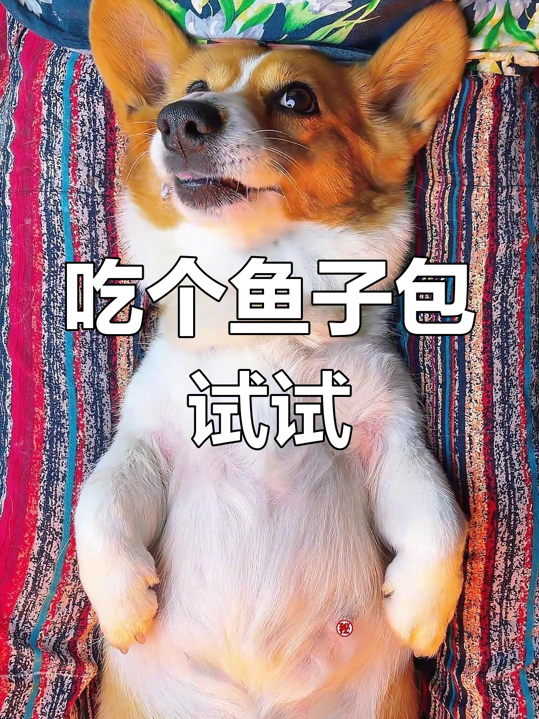 火锅里的意外惊喜,鱼子包尝鲜