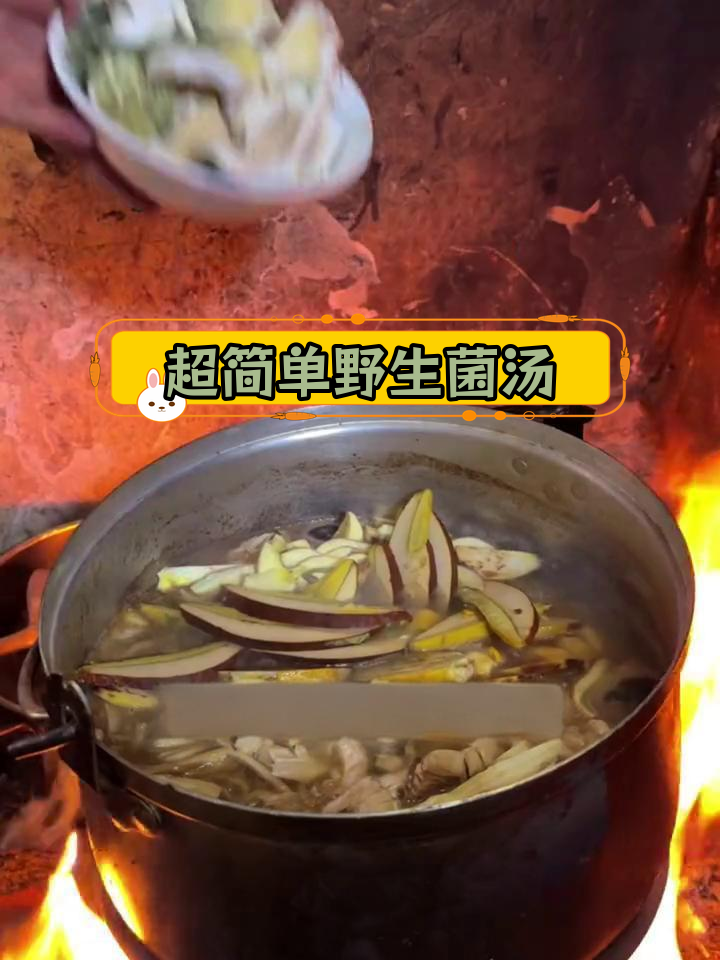 野生菌火锅,十多种美味搭配