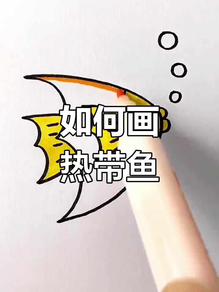 绘制热带鱼的简单步骤