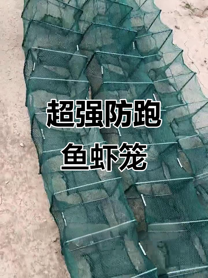 4米长鱼虾笼,防逃设计超强,小鱼小虾一网打尽