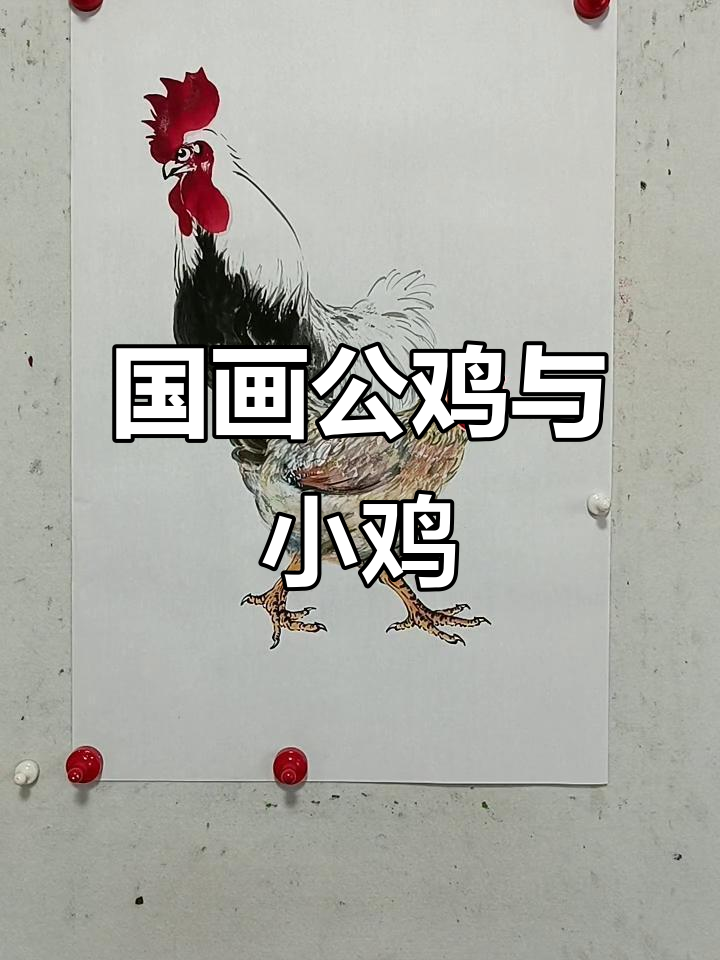 王兴民国画公鸡:从母鸡到小鸡,手绘技巧全解析