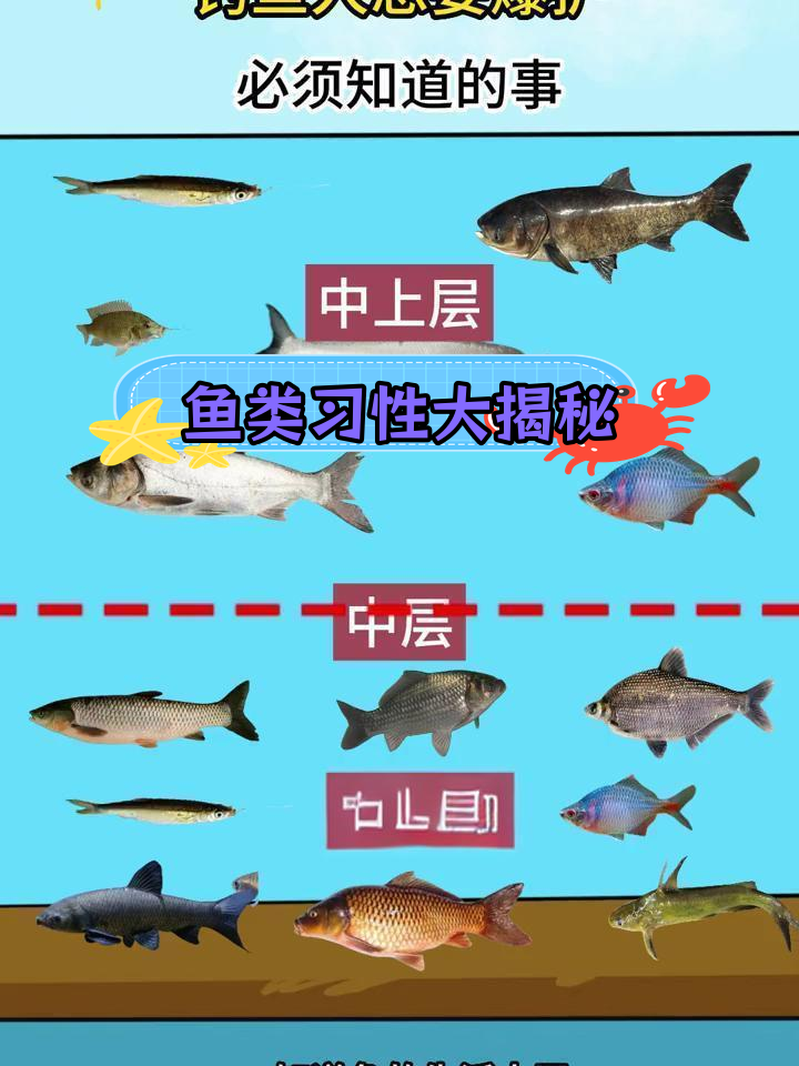 常见淡水鱼生活水层分布,钓鱼技巧全解析