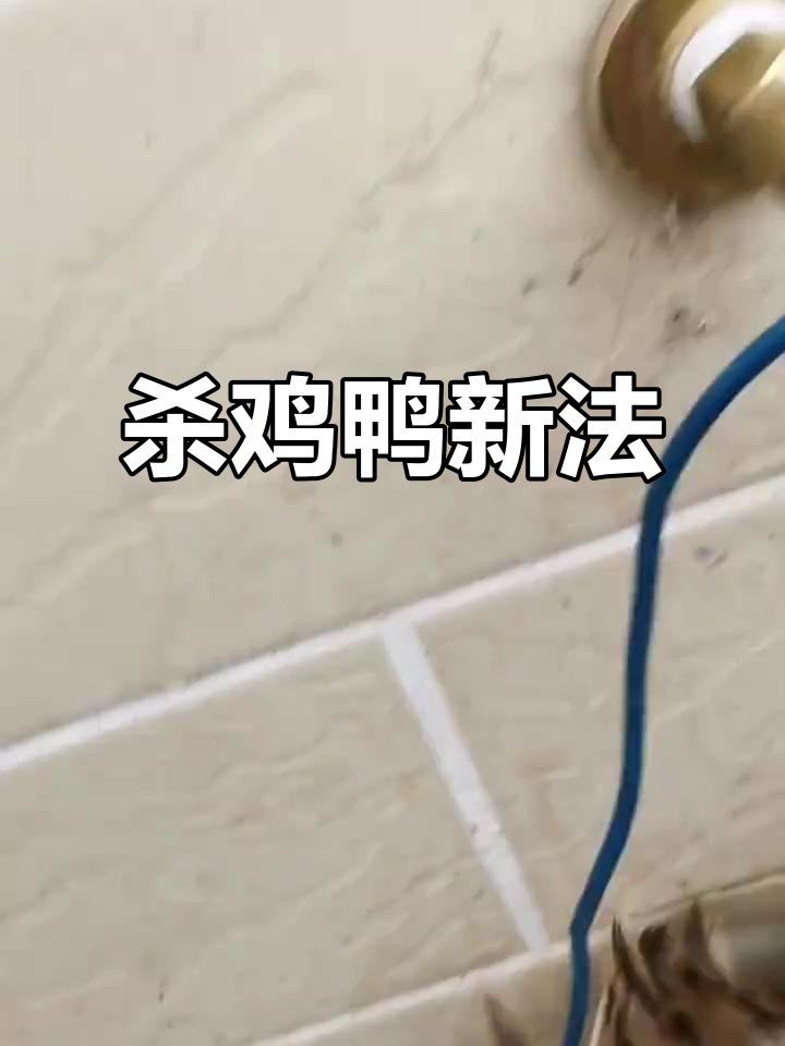 杀鸡鸭神器,省时又高效!