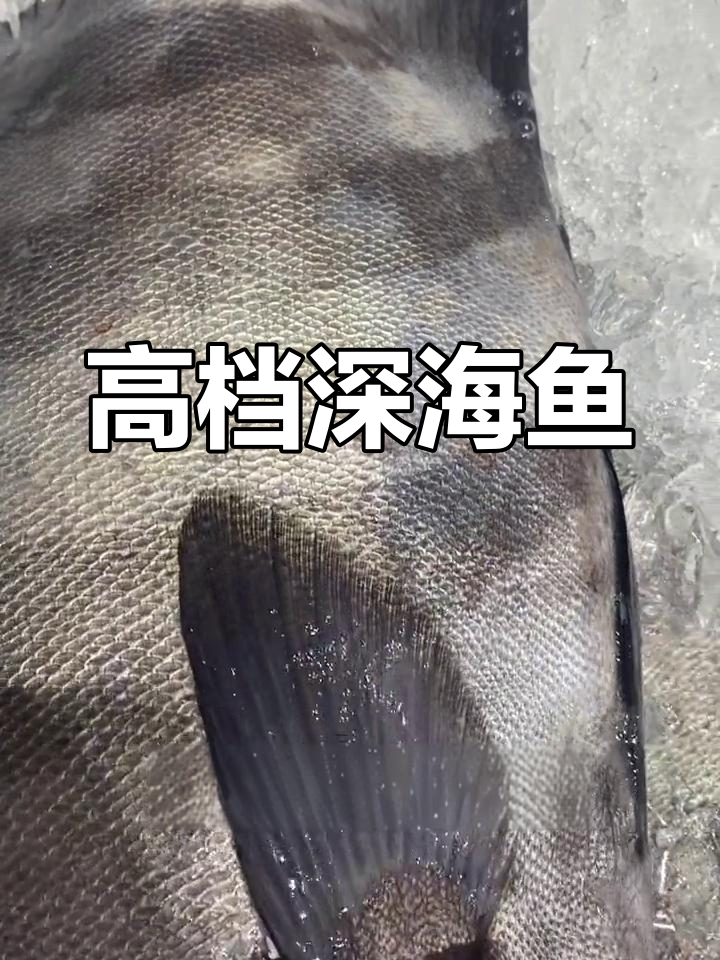 斑石鲷:深海美味,营养丰富的高端食材