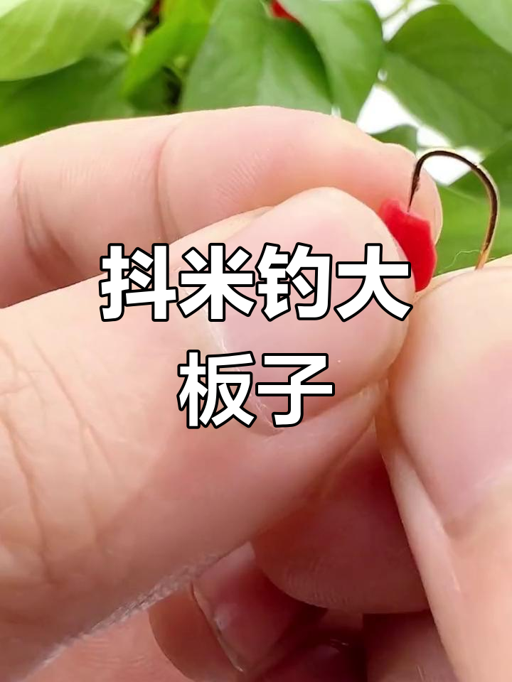 户外钓鱼必备抖米逗钓法,轻松捕捉大板子鲫鱼