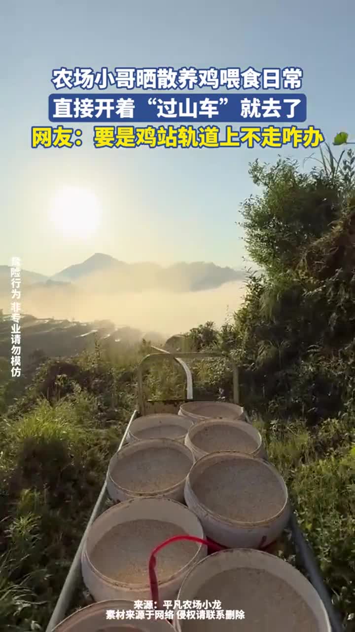 农场小哥晒散养鸡喂食日常,竟开“过山车”前往!