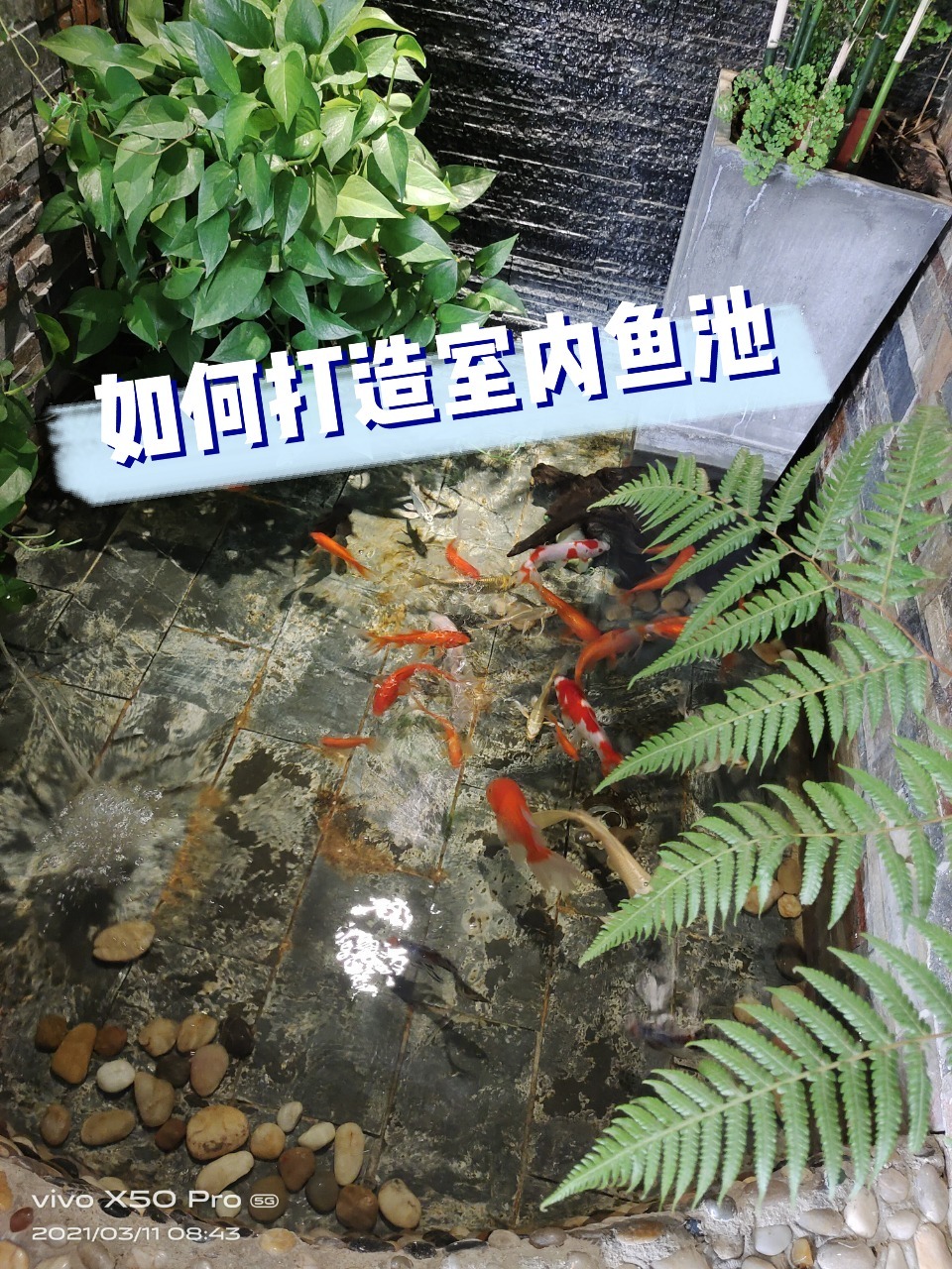 室内鱼池景观打造步骤,没有想的那么难